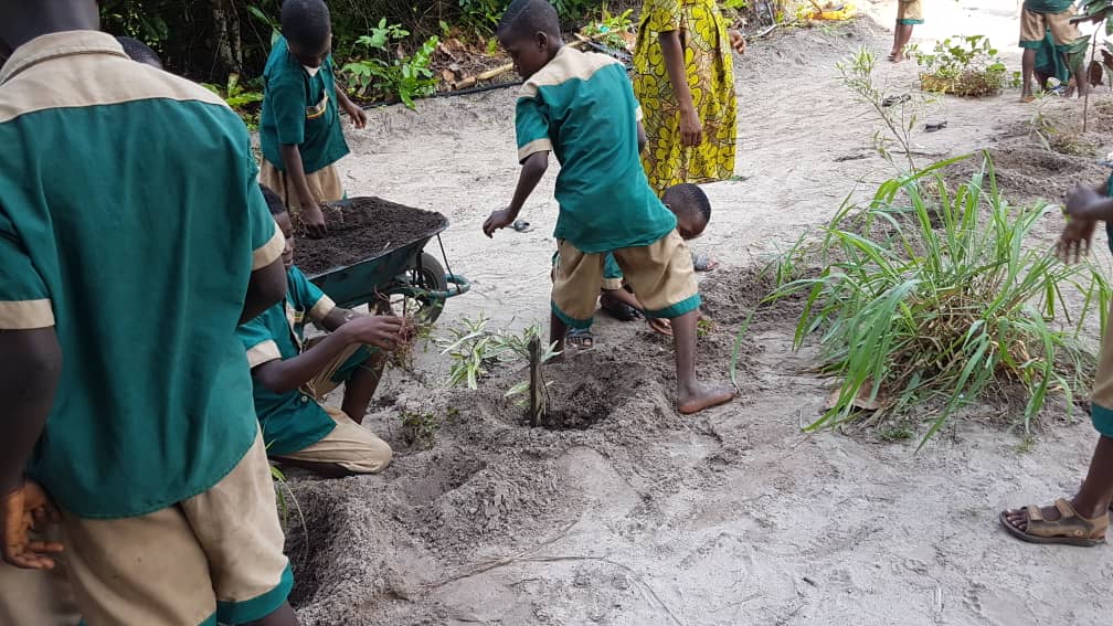 LE CEVASTE PROMEUT LA PLANTATION D’ARBRES FRUITIERS AU BENIN